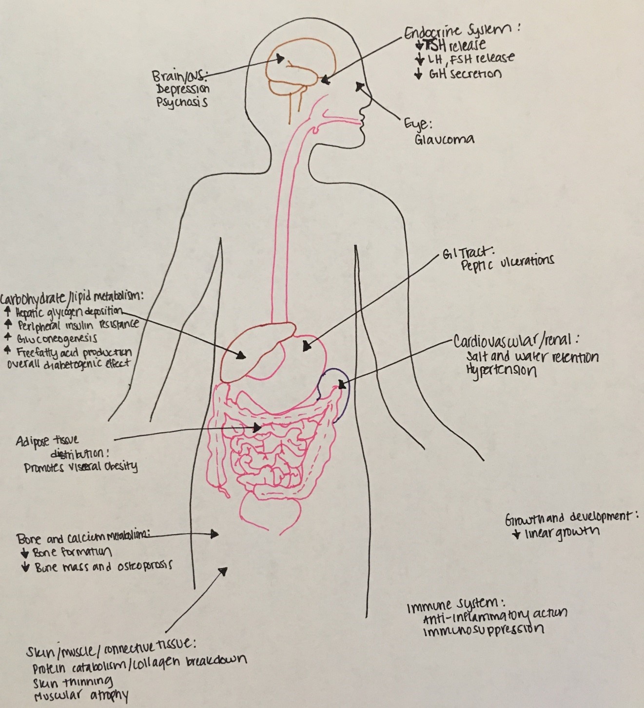 Multiple systemic effects of cortisol